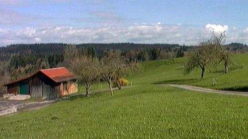 Cestománie Season 1 Episode 21 - Episode 21