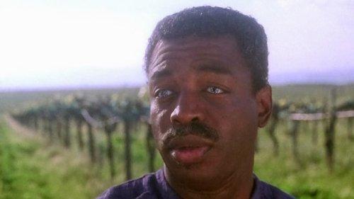 undefined Season 7 Episode 25 - All Good Things...