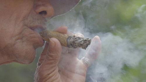 The Pure Creole Season 5 Episode 10 - Episode 10