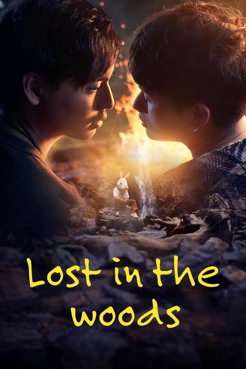 Lost in the Woods poster