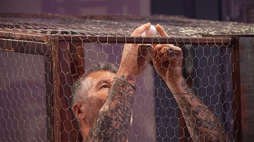 Big Brother Célébrités Season 1 Episode 7 - Episode 7