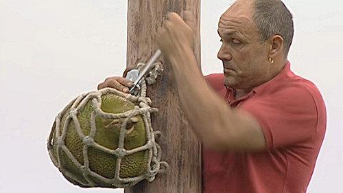 Monkey Business Season 9 Episode 13 - Episode 13