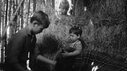 Poly Season 1 Episode 7 - Episode 7