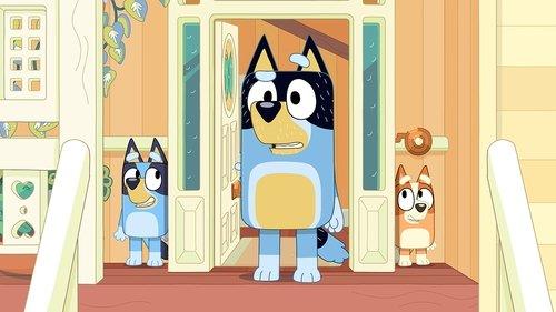 Bluey Season 1 Episode 6 - The Weekend