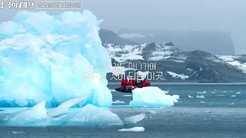 Chef of Antarctica Season 1 Episode 1 - Episode 1