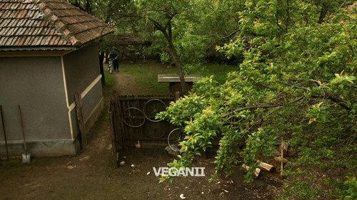 Las Fierbinţi Season 6 Episode 10 - Veganii