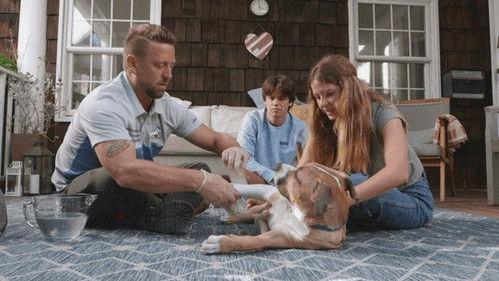 The Wizard of Paws Season 3 Episode 3 - Colby