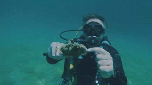 Reizen Waes Season 9 Episode 9 - Episode 9