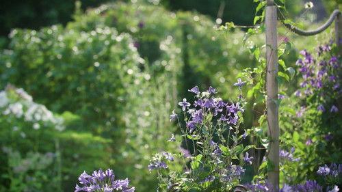 Hinter den Hecken Season 1 Episode 2 - A tiny garden