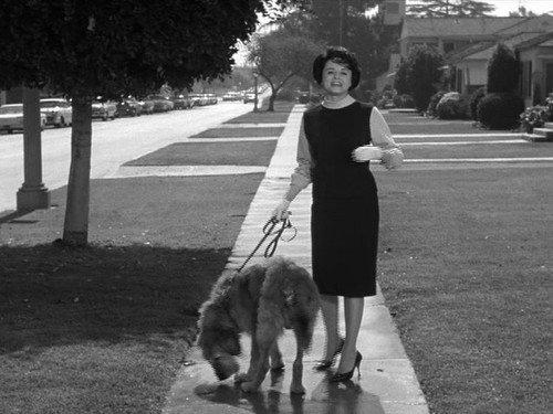 My Favorite Martian Season 1 Episode 2 - The Matchmakers