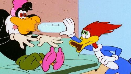 The New Woody Woodpecker Show Season 1 Episode 28 - Baby Buzzard