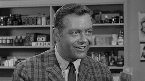 The Andy Griffith Show Season 1 Episode 14 - The Horse Trader