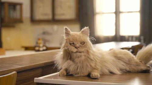 Cramel Season 1 Episode 21 - Episode 21