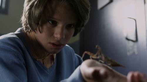 R. L. Stine's The Haunting Hour Season 2 Episode 3 - Swarmin' Norman