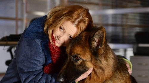 Komisarz Alex Season 5 Episode 7 - Episode 7