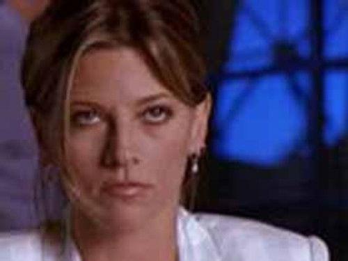 Silk Stalkings Season 7 Episode 11 - The Wedge