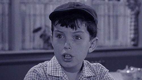 Leave It to Beaver Season 3 Episode 4 - Beaver's Prize