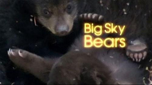 Natural World Season 24 Episode 15 - Big Sky Bears