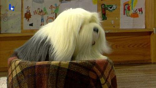 Samson & Gert Season 13 Episode 1 - Waar is Basiel?