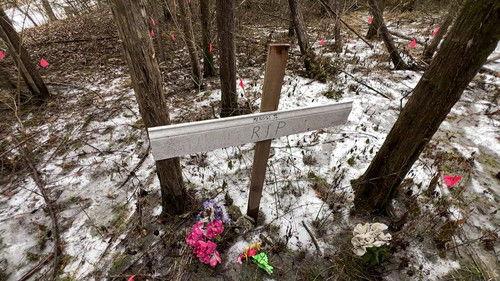 48 Hours Season 36 Episode 12 - The Tree that Helped Solve a Murder