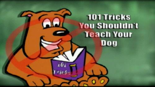 Funniest Pets & People Season 1 Episode 1 - If You're Happy and You Know It