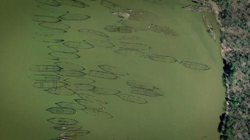 What on Earth? Season 5 Episode 5 - Ghost Fleet of Cannibal Bay