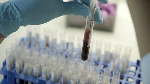 Backlight Season 17 Episode 11 - Episode 11