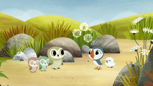 Puffin Rock Season 2 Episode 39 - Day and NIght