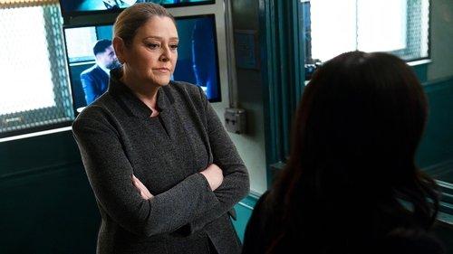 Law & Order Season 23 Episode 8 - Facade