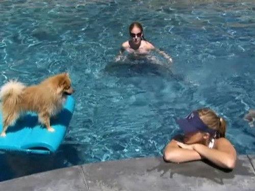 The Real Housewives of Orange County Season 2 Episode 3 - Watch Out Bitches!