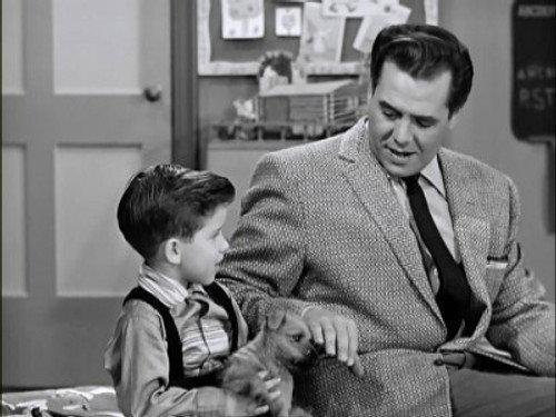 undefined Season 6 Episode 14 - Little Ricky Gets a Dog