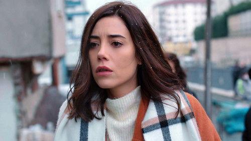 A Woman Scorned Season 1 Episode 14 - Episode 14