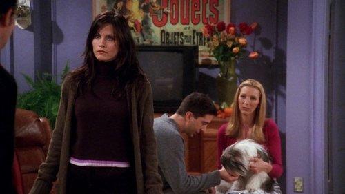Friends Season 7 Episode 8 - The One Where Chandler Doesn't Like Dogs