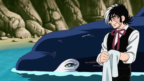 Black Jack Season 1 Episode 10 - The Gift from a Killer Whale