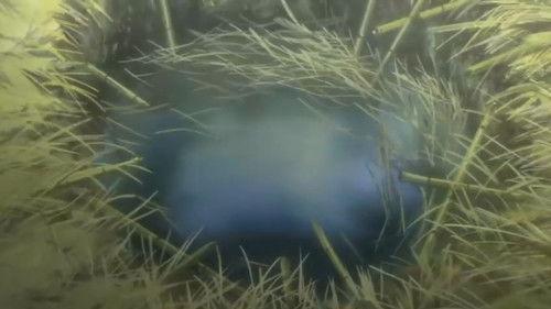 Hyouge Mono Season 1 Episode 20 - The Deep Hole of Imperfection