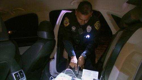 Cops Season 33 Episode 1 - Stolen Cars and Firearms