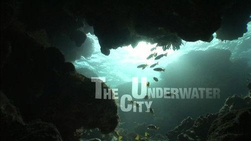 Water Life Season 1 Episode 21 - Underwater City