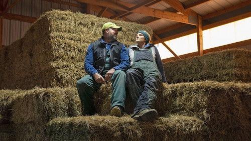 Heartland Docs, DVM Season 3 Episode 6 - What's All the Pus About?