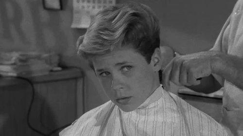 Leave It to Beaver Season 1 Episode 6 - Brotherly Love