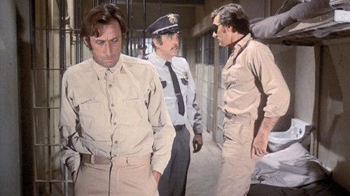 McCloud Season 5 Episode 5 - The Concrete Jungle Caper