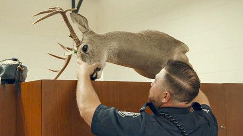 Contraband: Seized at the Border Season 2 Episode 5 - Yes, Deer?