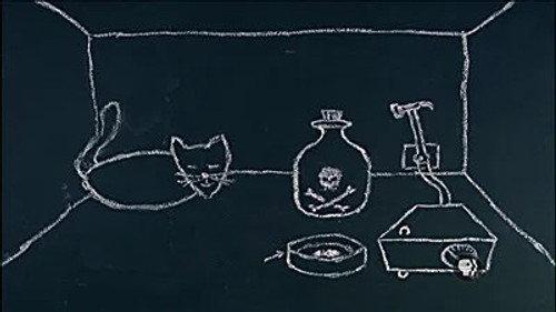 NOVA Season 36 Episode 3 - Parallel Worlds, Parallel Lives