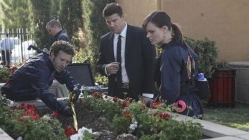 Bones Season 6 Episode 20 - The Pinocchio in the Planter