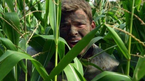 undefined Season 3 Episode 12 - The Corn Field (1)