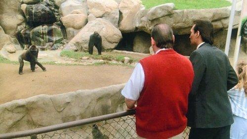 L.A. Law Season 2 Episode 11 - Gorilla My Dreams