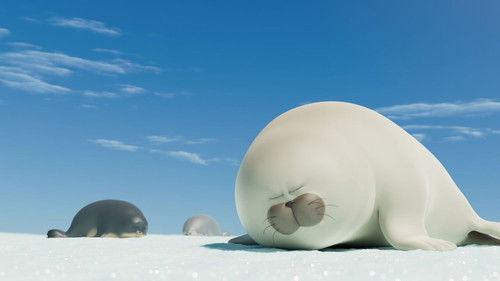 씰룩 Season 1 Episode 20 - Episode 20