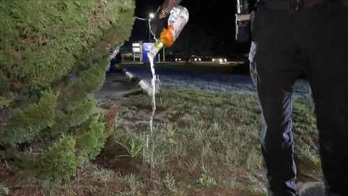 On Patrol: Live Season 4 Episode 17 - Stolen Vehicle Investigation