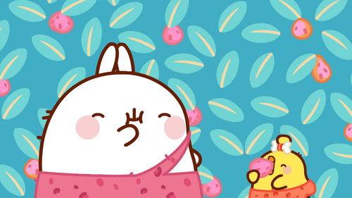 Molang Season 4 Episode 1 - To the Shelter
