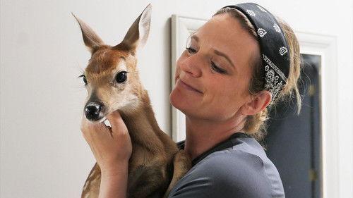 Heartland Docs, DVM Season 4 Episode 2 - It’s a Won-Doe-ful Life