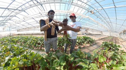 Where We Call Home Season 3 Episode 10 - A Helping Hand for Our Fellow Sri Lankans